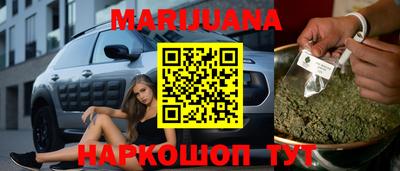 сатива Краснознаменск