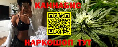 сатива Краснознаменск