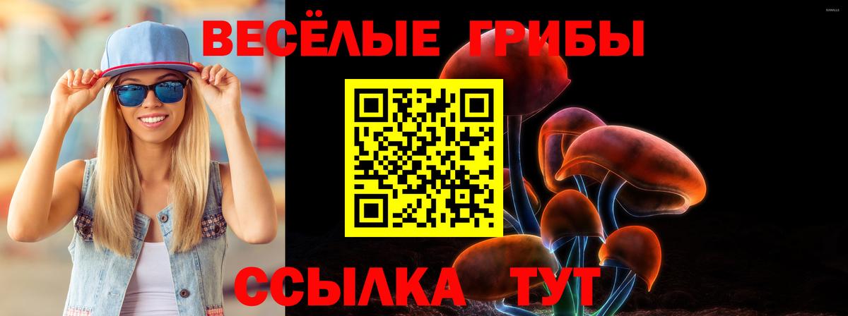Псилоцибиновые грибы Psilocybe  Вход с VPN  Улан-Удэ  Галлюциногенные грибы Cubensis 